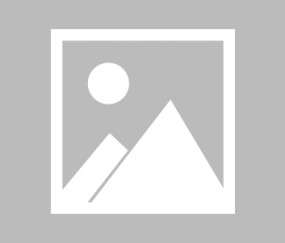 开云首页登录 -波士顿凯尔特人花园球馆包厢