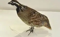 开云在线入口 -/健T泟0+堼试沖j嶅鹑8?€#P?怔L閰_(t?燵fO榷氘?F羊P}騐杓M镖x?琁??