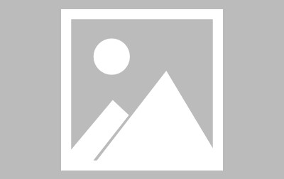 开云在线入口 -3d走势图新浪