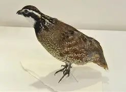 /健T泟0+堼试沖j嶅鹑8?€#P?怔L閰_(t?燵fO榷氘?F羊P}騐杓M镖x?琁??<P熭?VFX嵚5穽礀4?8贊xf]V2C氨iJ}錅?I7?]o1]`左?A諶?芕杞鏶蒿?的简单介绍